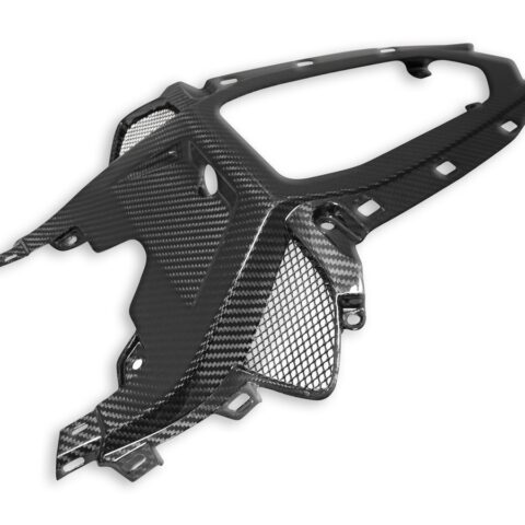 crb118l-dbk-bmw-s1000rr-carbon-fiber-passenger-seat support