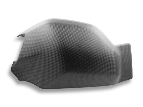 Panigale V4 Carbon Fiber Swingarm Cover, Matte – CRB24O DBK