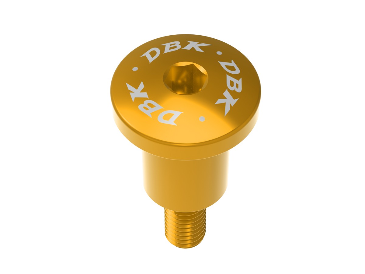 Brake/Clutch Reservoir Fixing Bolt - VITE01 DBK