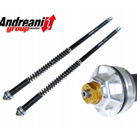 Aprilia-RS660-Cartridge-kit-andreani-105/a11e