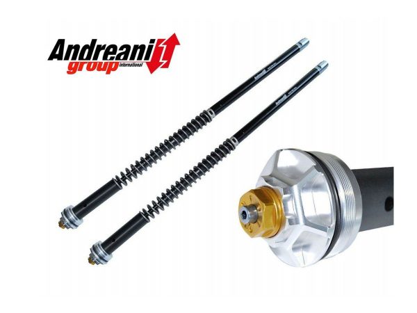 Aprilia RS660 Andreani Cartridge Kit – 105/A11E