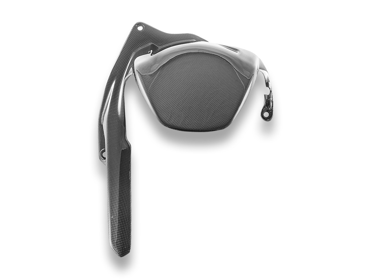 2025 Panigale V4/Streetfighter V4 Carbon Fiber Rear Wheel Hugger/Fender, Glossy - CRB228L DBK