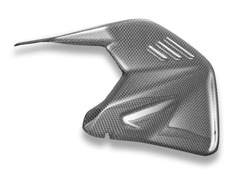 2025+ Panigale V4/Streetfighter V4 Carbon Fiber Swingarm Cover, Glossy or Matte - CRB234 DBK