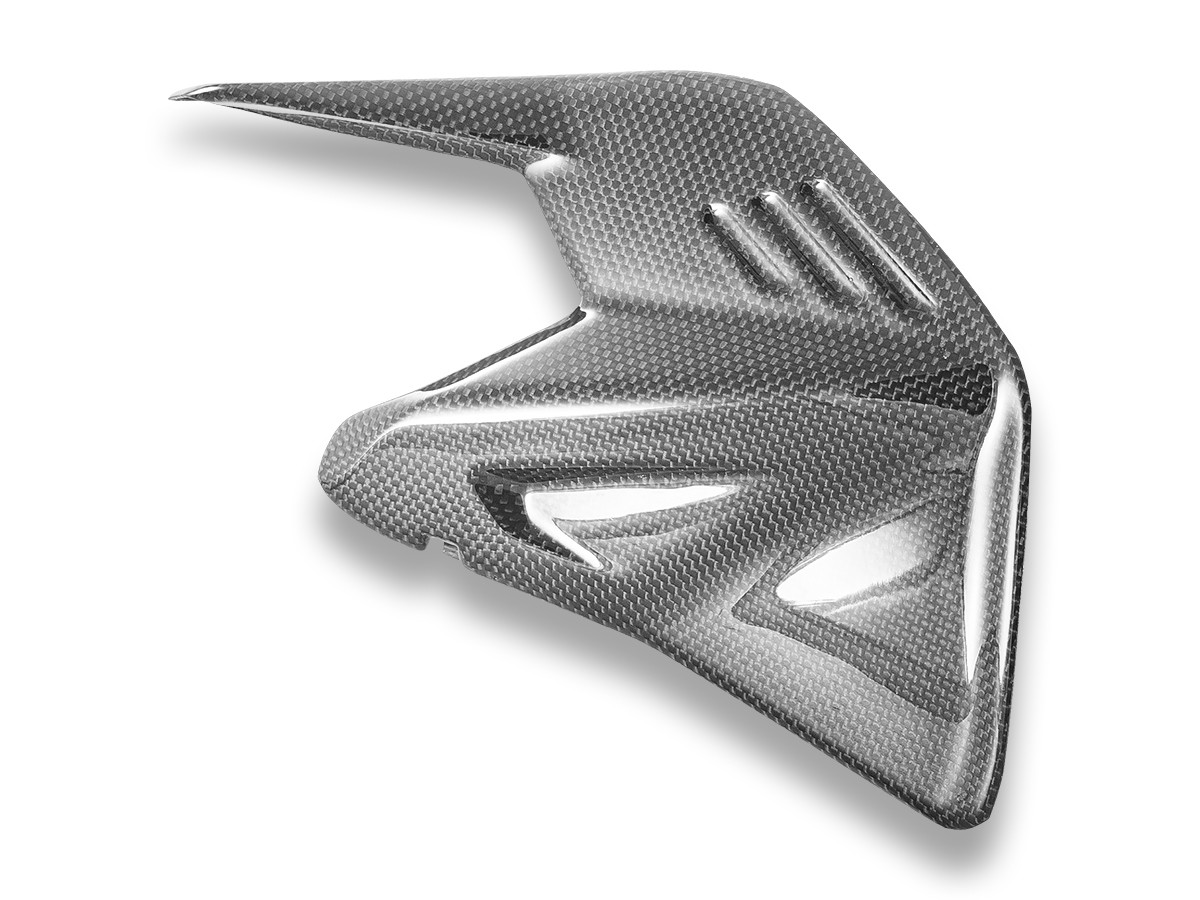 2025+ Panigale V4/Streetfighter V4 Carbon Fiber Swingarm Cover, Glossy or Matte - CRB234 DBK